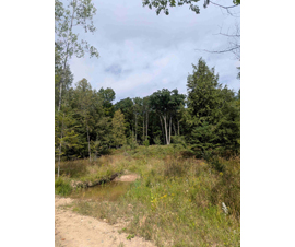 Michigan Properties For Sale