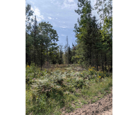 Michigan Properties For Sale