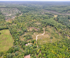 Michigan Properties For Sale