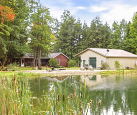 Michigan Properties For Sale