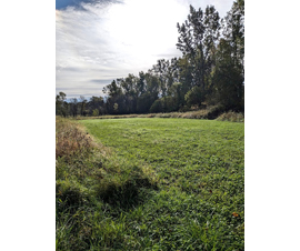 Michigan Properties For Sale