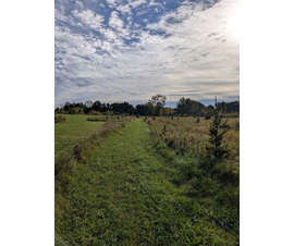 Michigan Properties For Sale