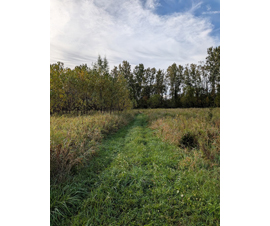 Michigan Properties For Sale