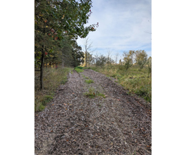 Michigan Properties For Sale