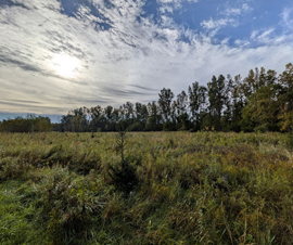 Michigan Properties For Sale