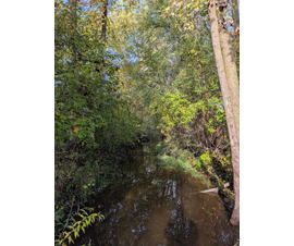 Michigan Properties For Sale