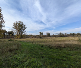 Michigan Properties For Sale