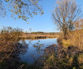 Michigan Properties For Sale