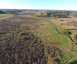 Michigan Properties For Sale