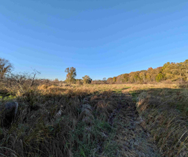 Michigan Properties For Sale