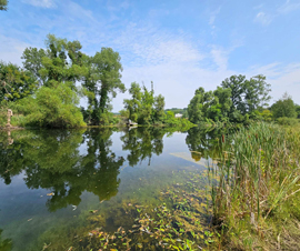 Michigan Properties For Sale