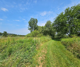 Michigan Properties For Sale